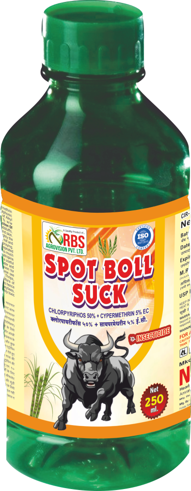 spot